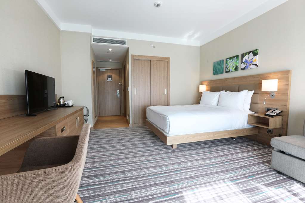 Hilton Garden Inn 아디야만 객실 사진